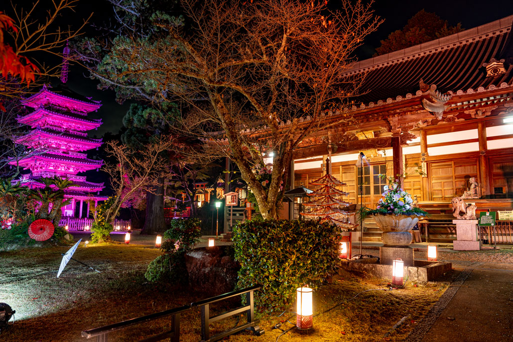 海住山寺でライトアップの画像１