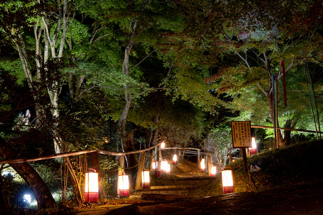 海住山寺でライトアップの画像３