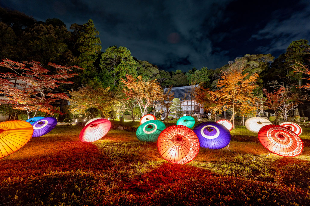 「大御堂観音寺 ２０２４ ライトアップ」の画像