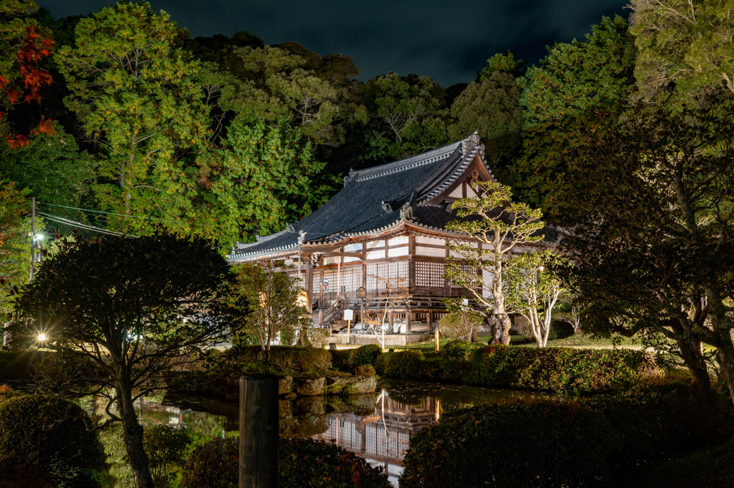 「大御堂観音寺 ２０２４ ライトアップ」のお寺の画像