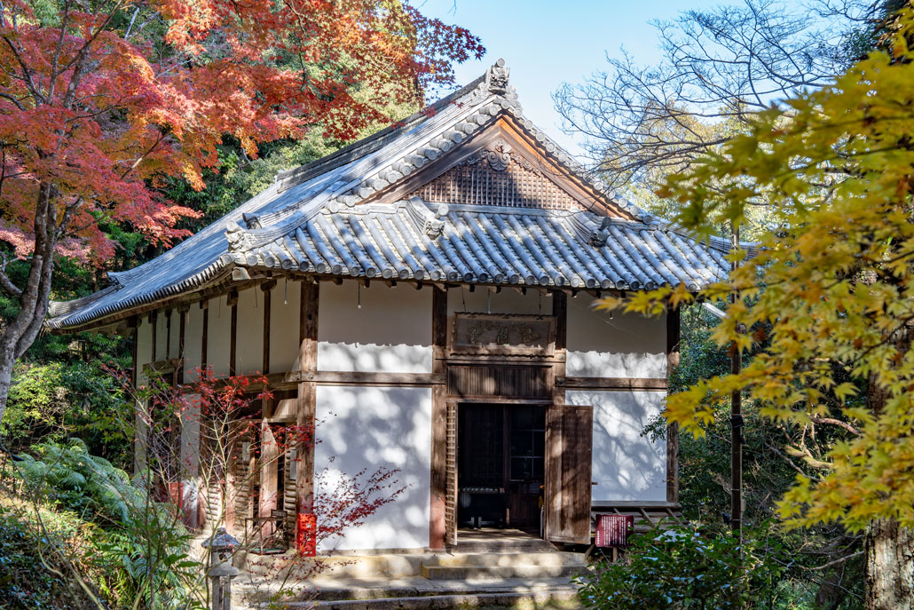 笠置寺紅葉2024年の画像３