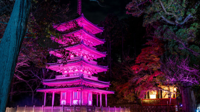 海住山寺でライトアップの画像１