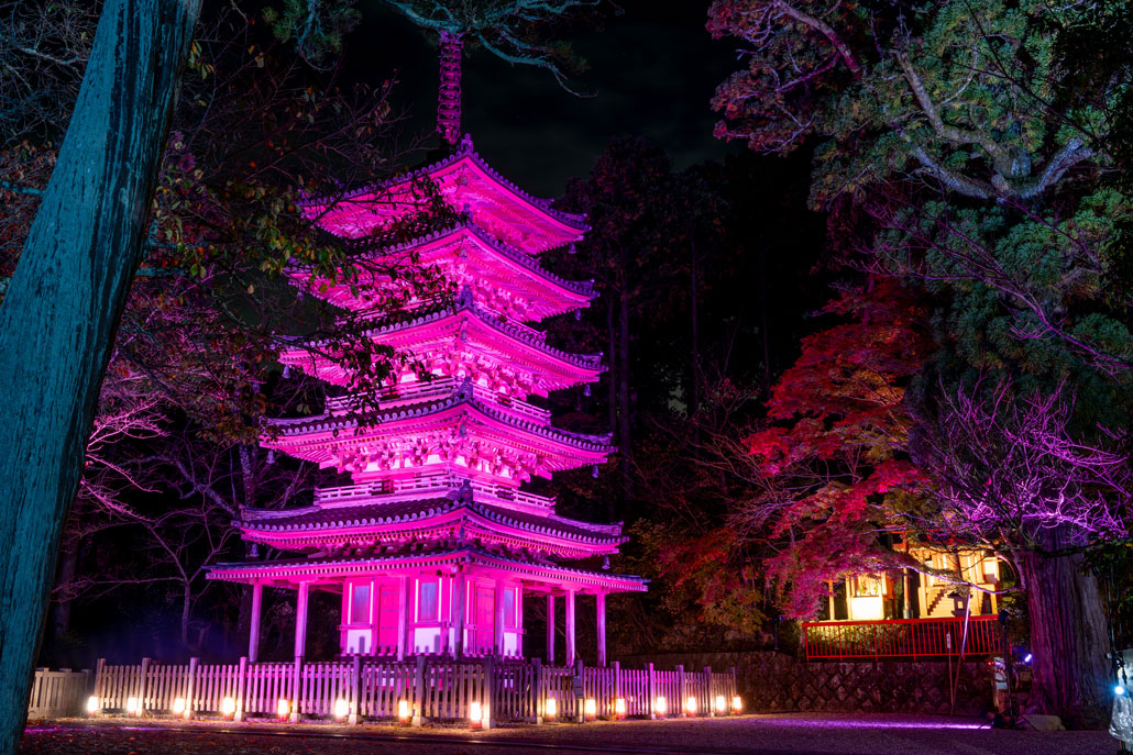 海住山寺でライトアップの画像１