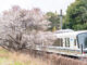 青谷の線路沿いの梅の画像