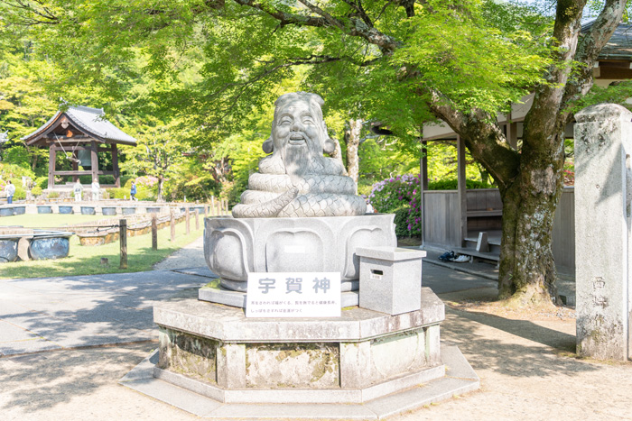 宇賀神様の画像