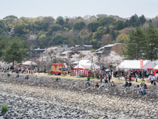 朝霧橋から見た会場の画像