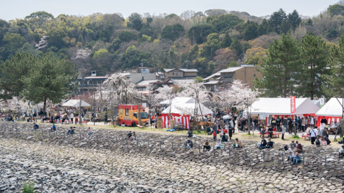 朝霧橋から見た会場の画像