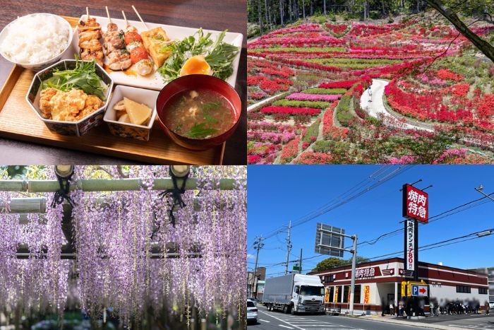 週刊ALCO 令和7年4月26日号の画像