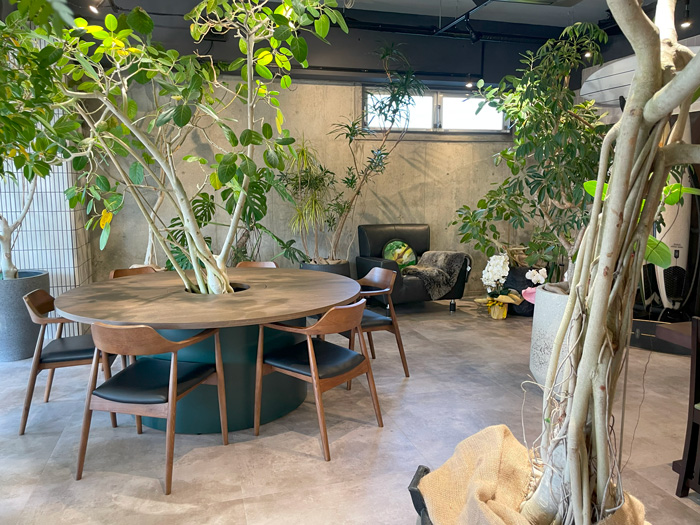 「GreenOcean Cafe」　店内画像