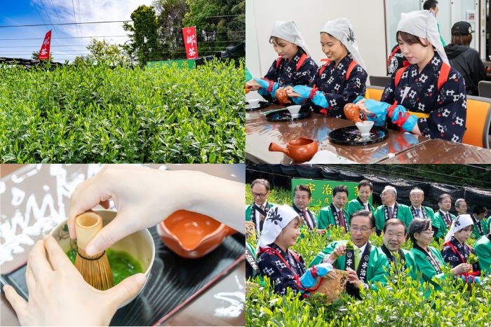 「令和７年度宇治新茶 八十八夜茶摘みの集い」の画像