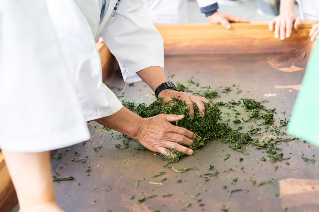 「宇治茶の手もみ実演」の画像