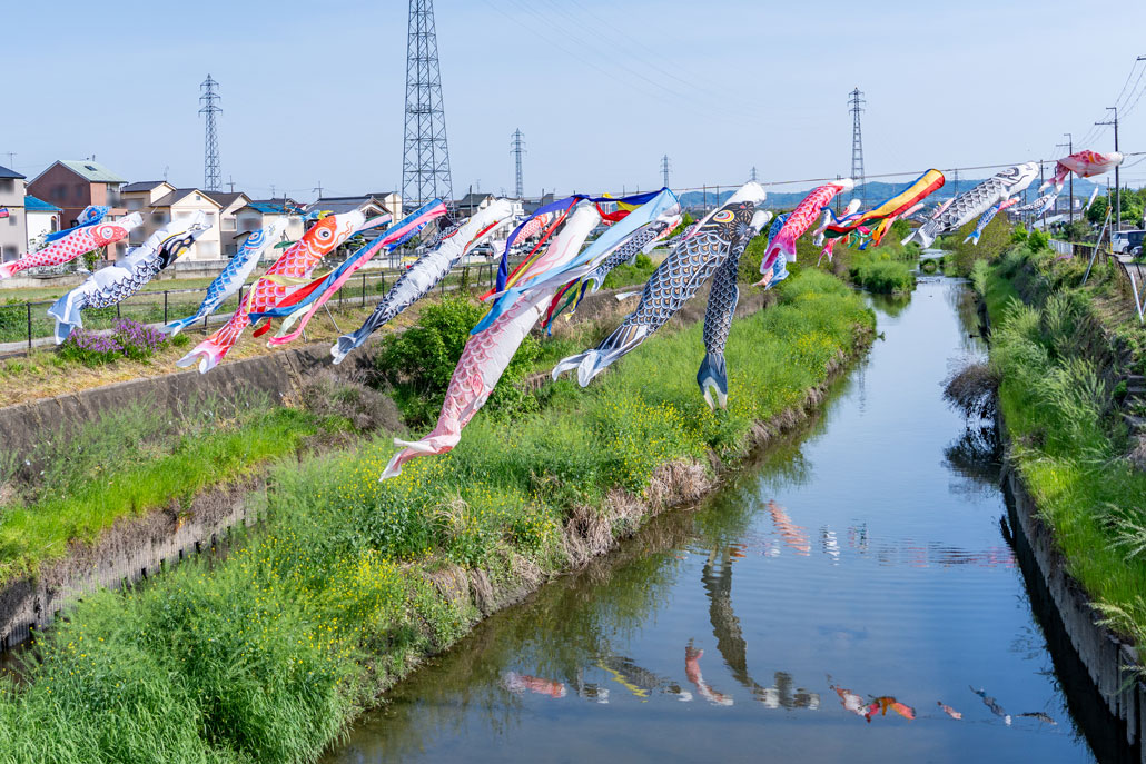 大谷川の鯉のぼりの画像１
