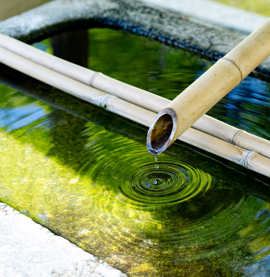 一休寺の手水の画像