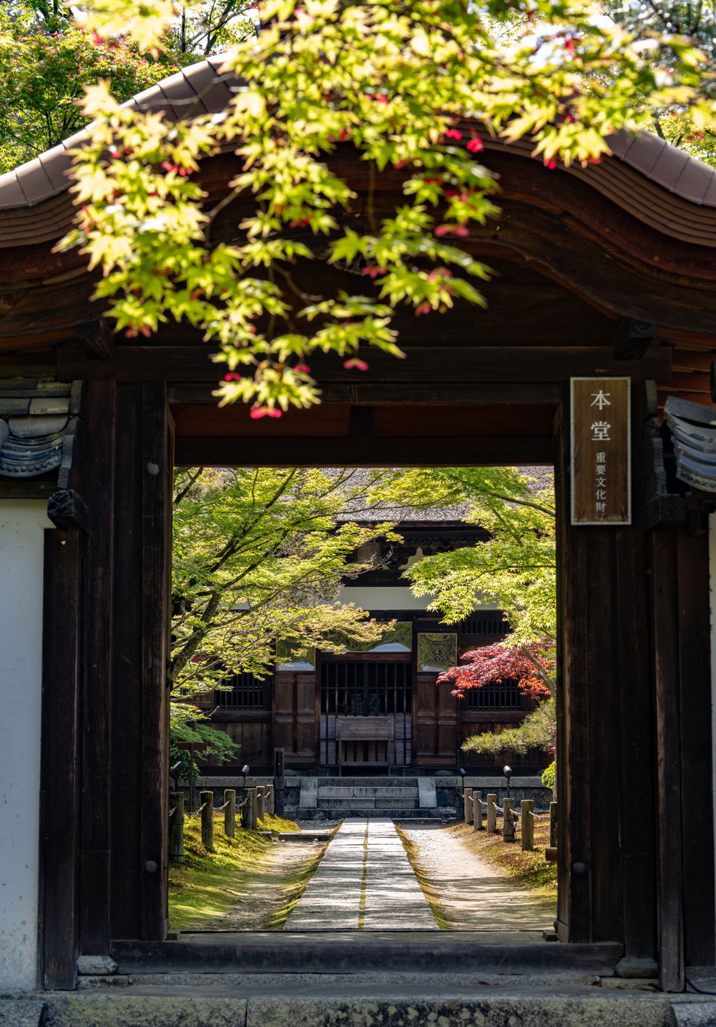 一休寺さんの本堂の画像