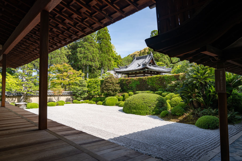 一休寺さんの庭園の画像