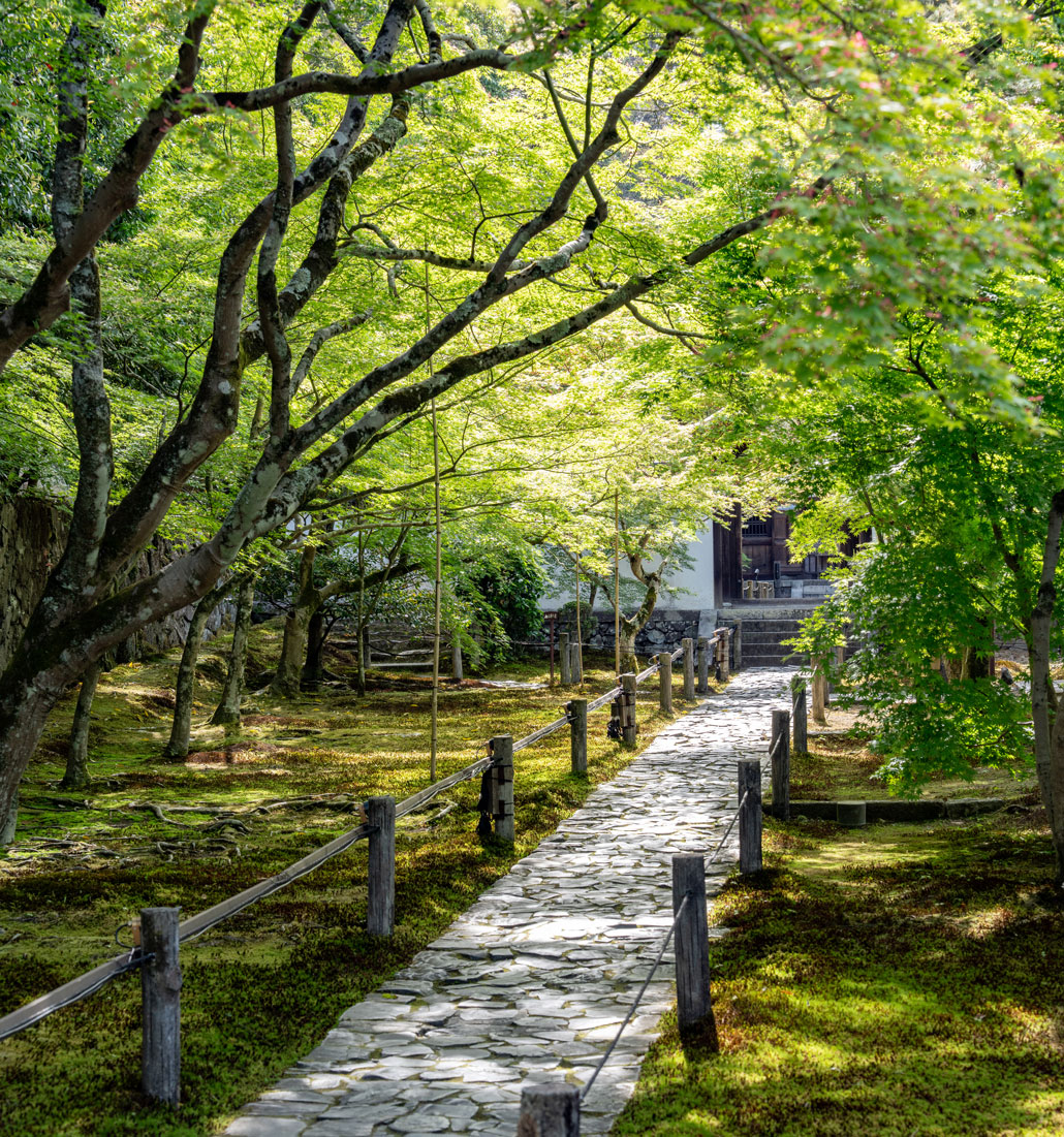 新緑が美しい一休寺さんの画像