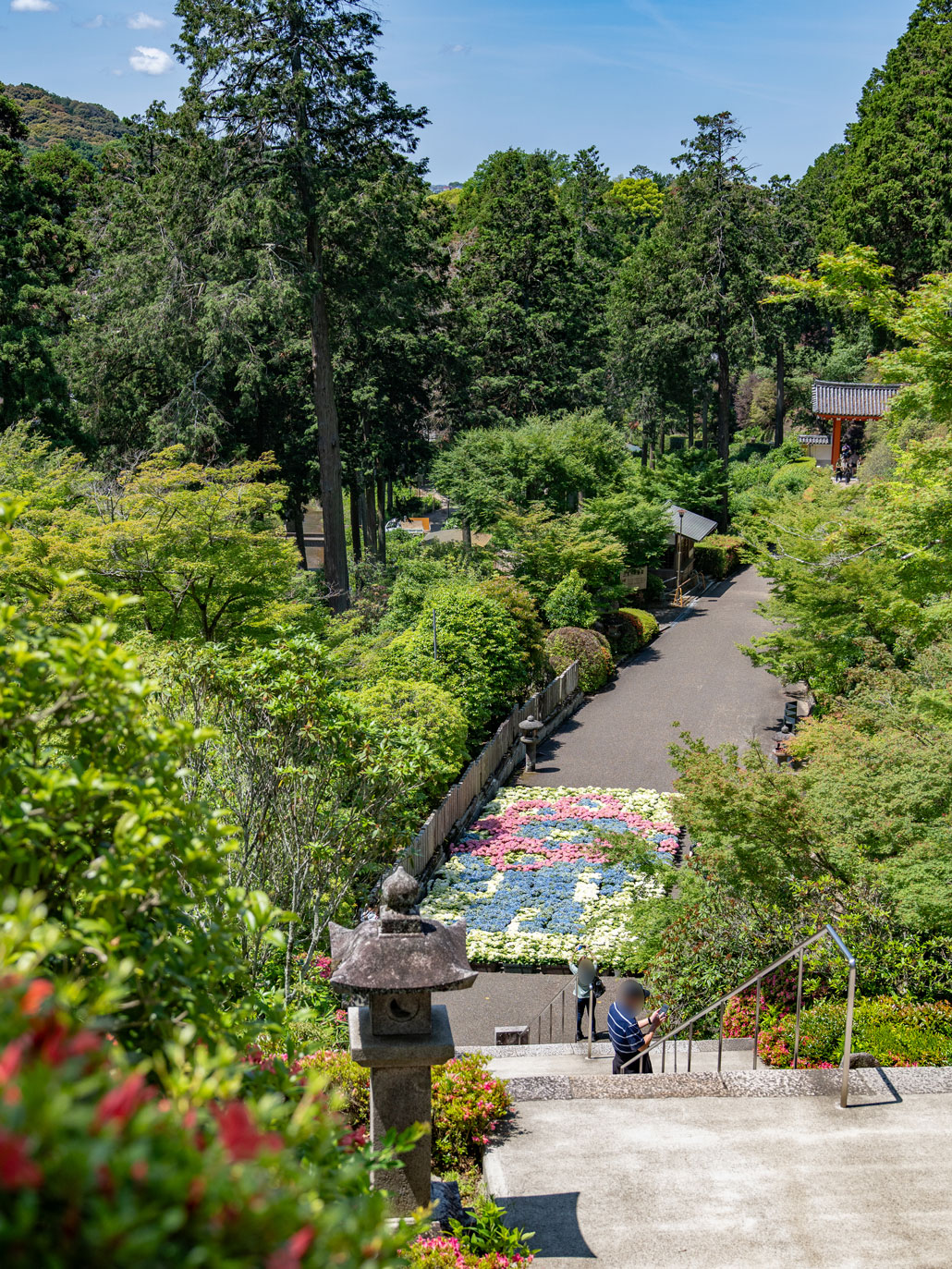 石段の上から見たあじさいアート「ミャクミャク」の画像