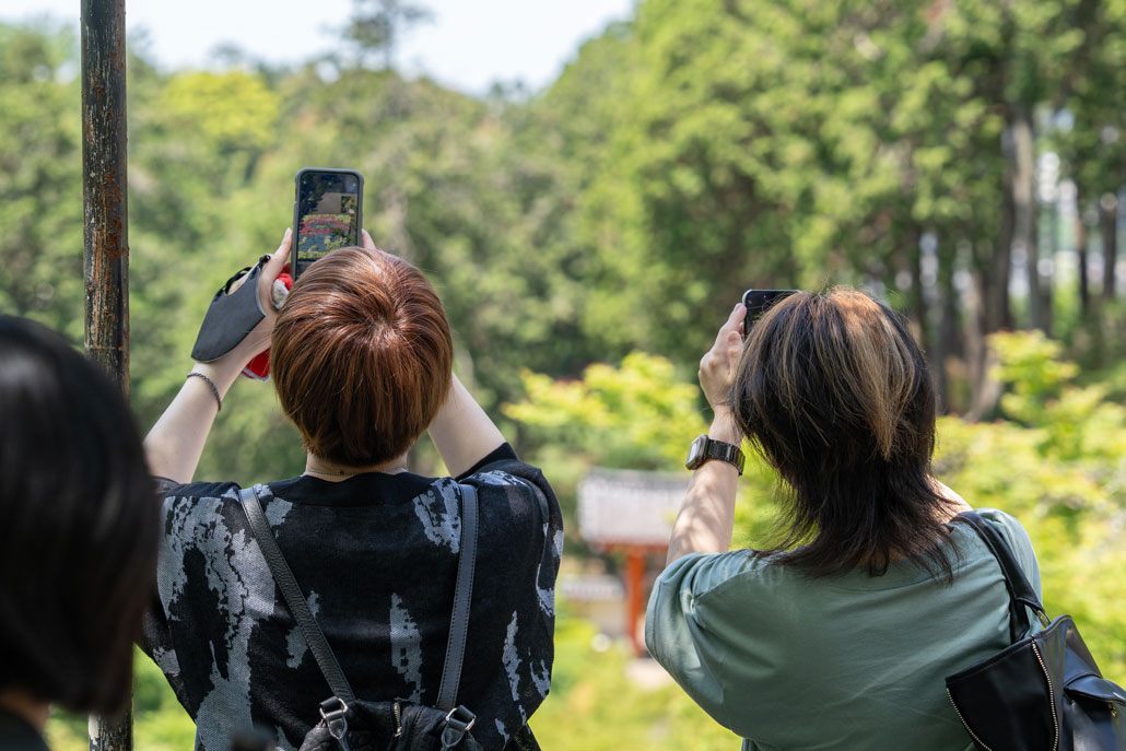 あじさいアートを撮影されている方の画像