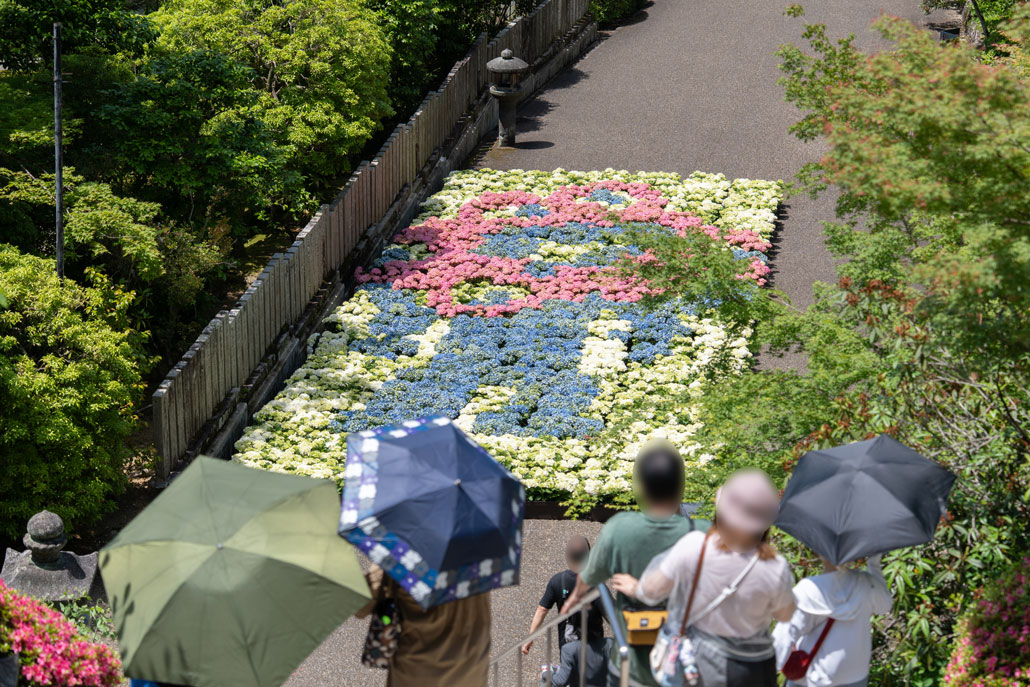 あじさいアート「ミャクミャク」の画像
