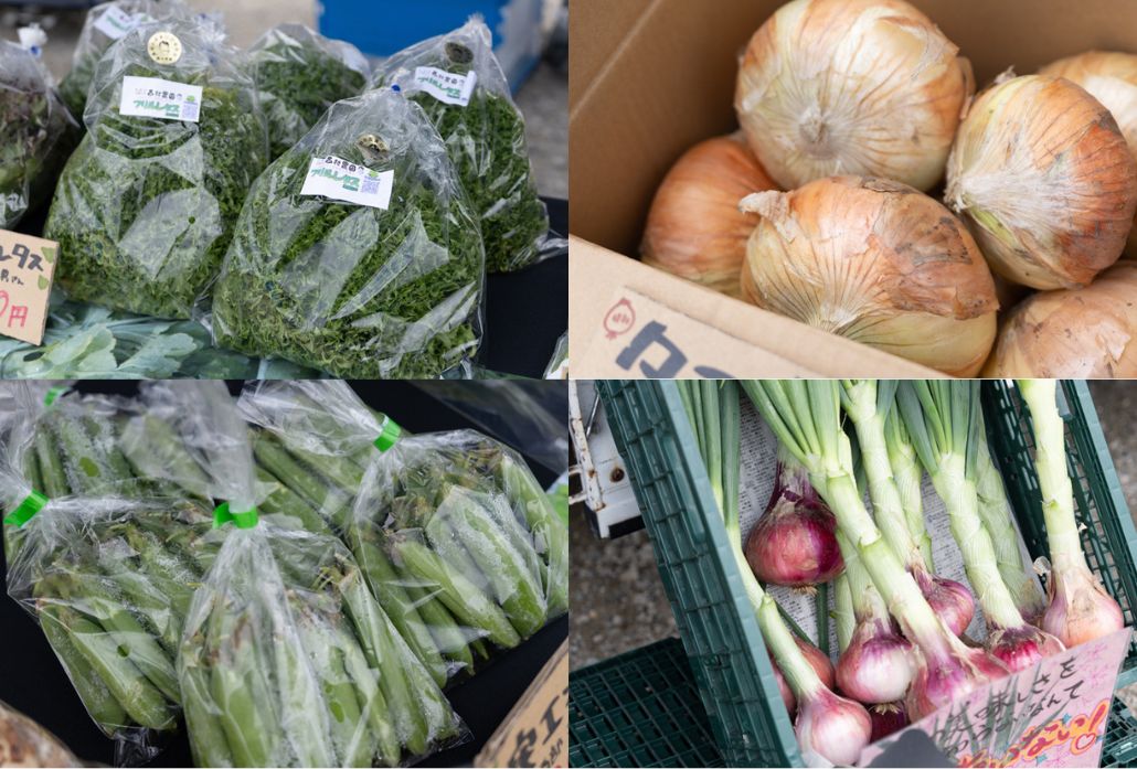 「KUMIYAMA MIZUBE TRIAL VOL.１ 春のカワビラキ」の画像３