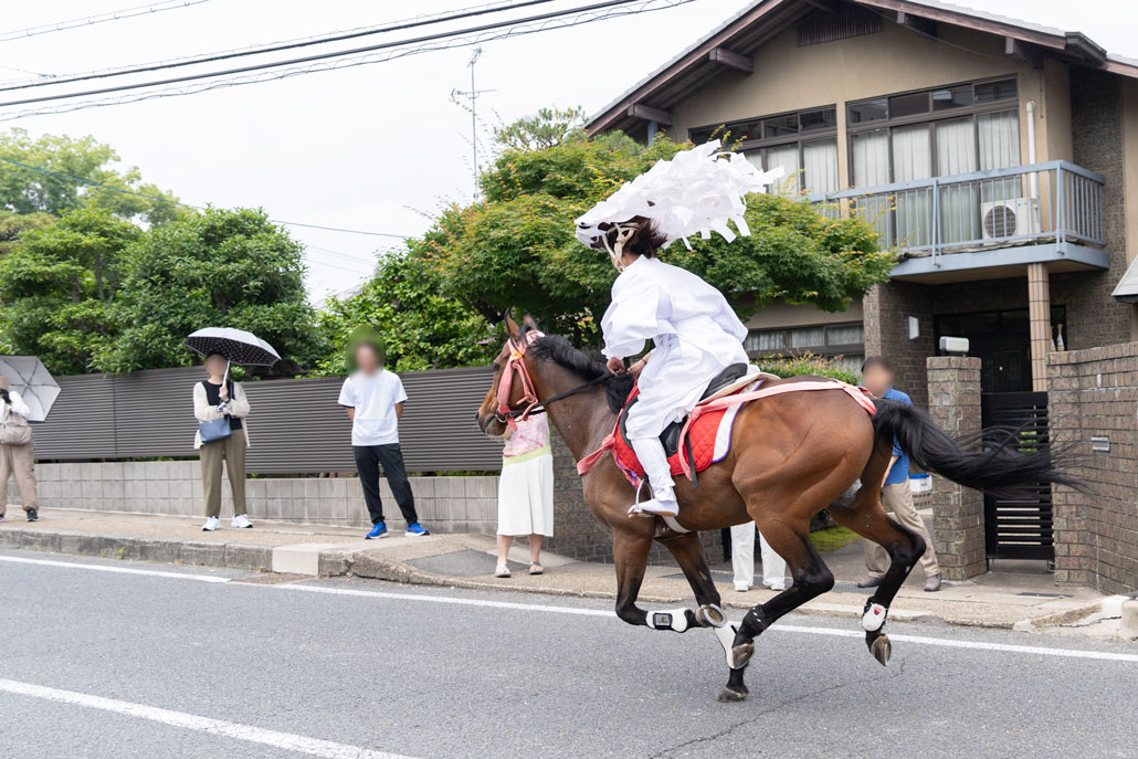 「大幣神事」の掛馬の画像