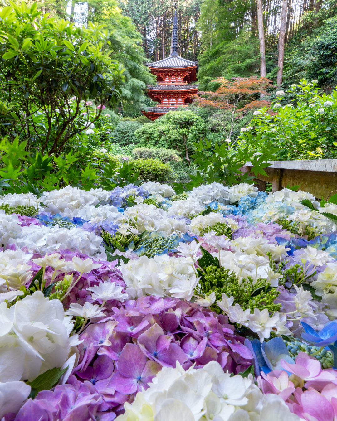 「高雄山 岩船寺」花手水と三重塔の画像