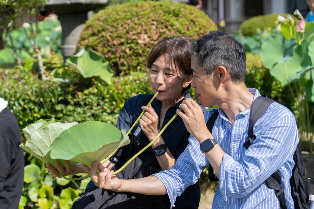 三室戸寺　「ハス酒を楽しむ会」の楽しまれているところ画像