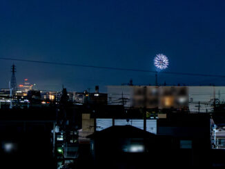 宝ヶ池の花火の画像