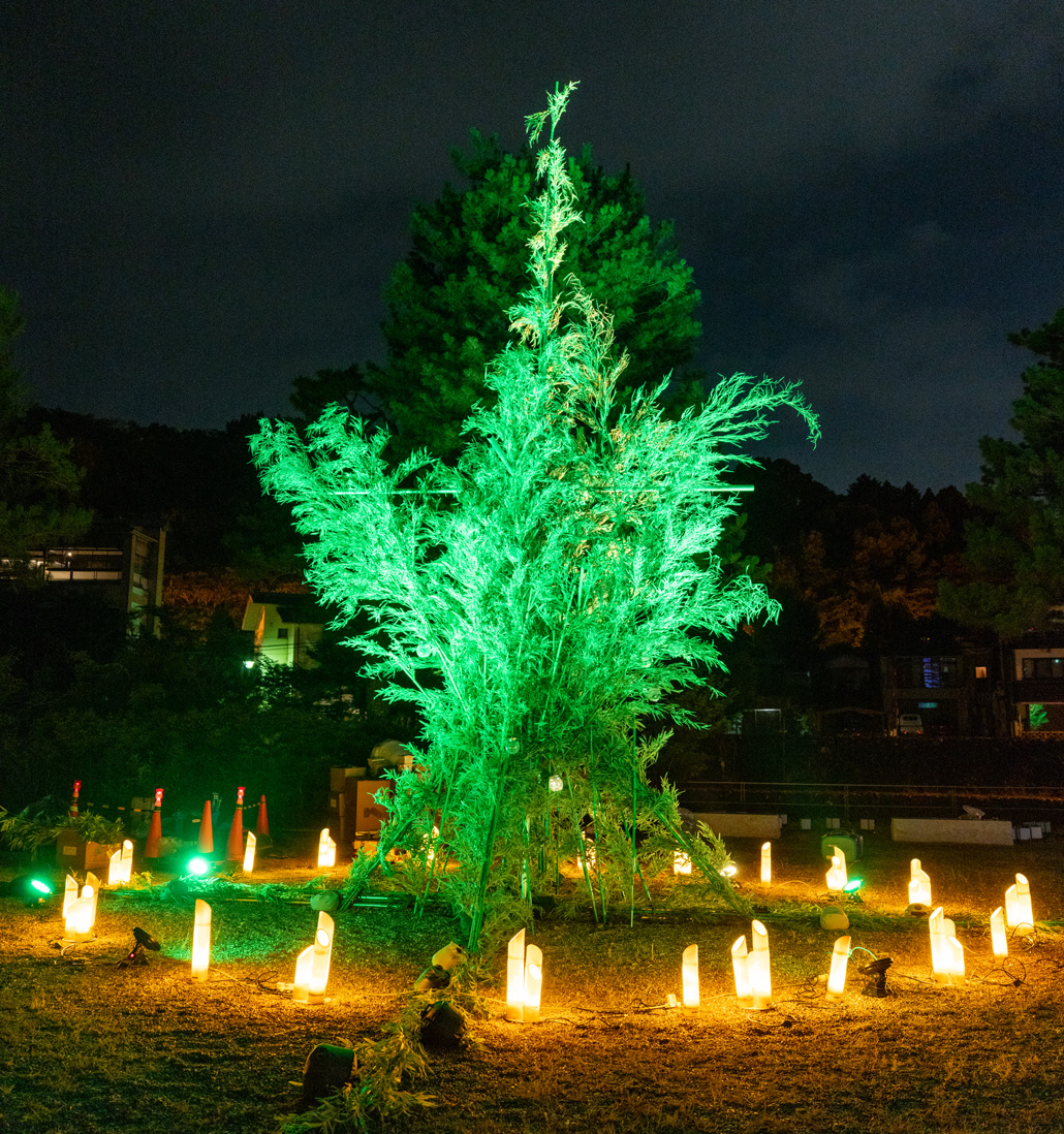 「京の七夕 in Uji」の巨大笹の画像