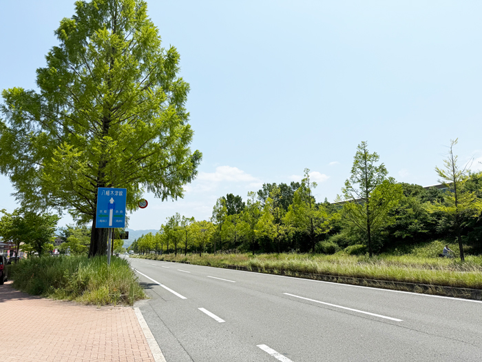 「ドラッグストア コスモス 精華台店」前の通り（東向き）の画像