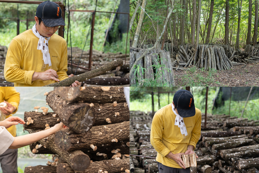 原木しいたけのが会場の画像