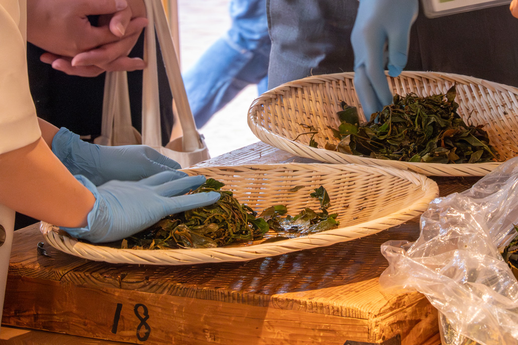 紅茶づくりの画像