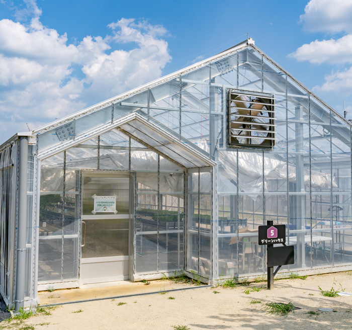 タナクロのグリーンハウスの画像