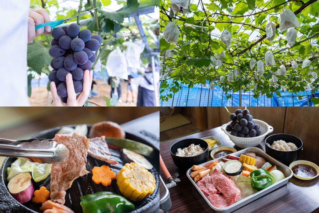 観光農園「みどり農園」　の画像