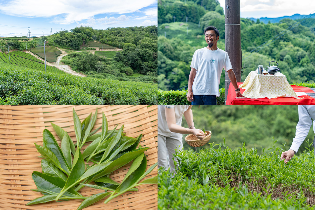 辻本製茶のお茶画像2