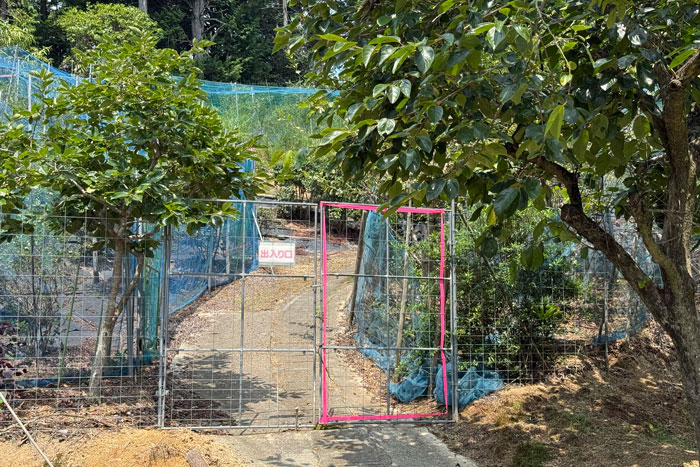 「うえだブルーベリー畑」登山コースの画像