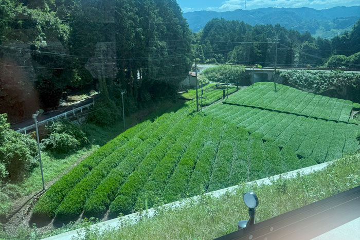 バスの先の和束の画像