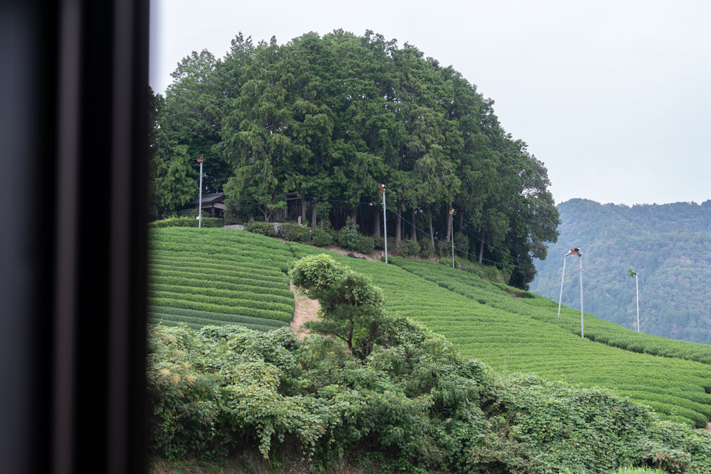 「たいこやまカフェ」　たいこやまが見える画像