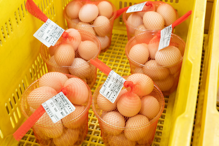 たまごの直売所「ふるさとたまご村」　たまご画像１