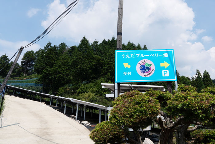 「うえだブルーベリー畑」入口画像