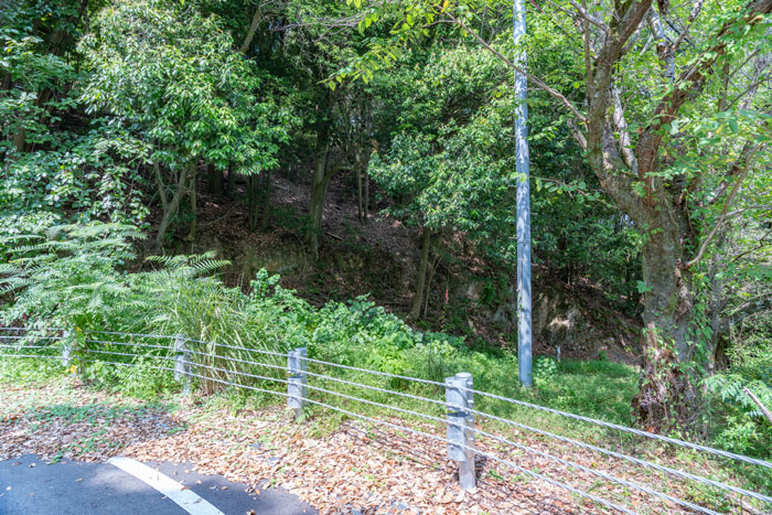 東屋の建設予定地の画像