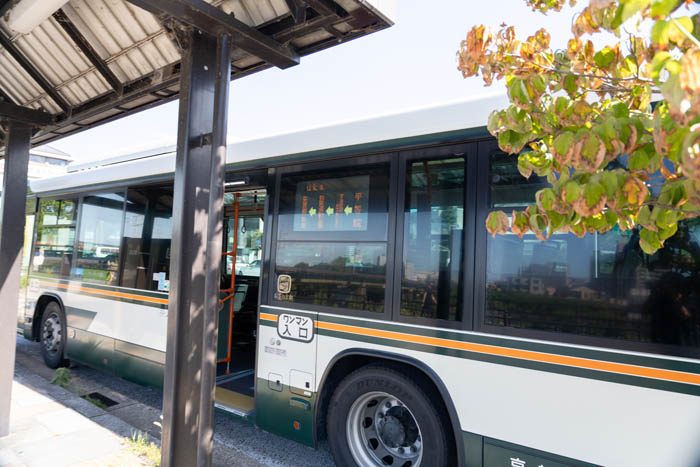 グリーンライナーの画像１