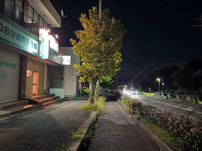 鶏焼肉「穂鶏（HOTORI）」前の通りの画像