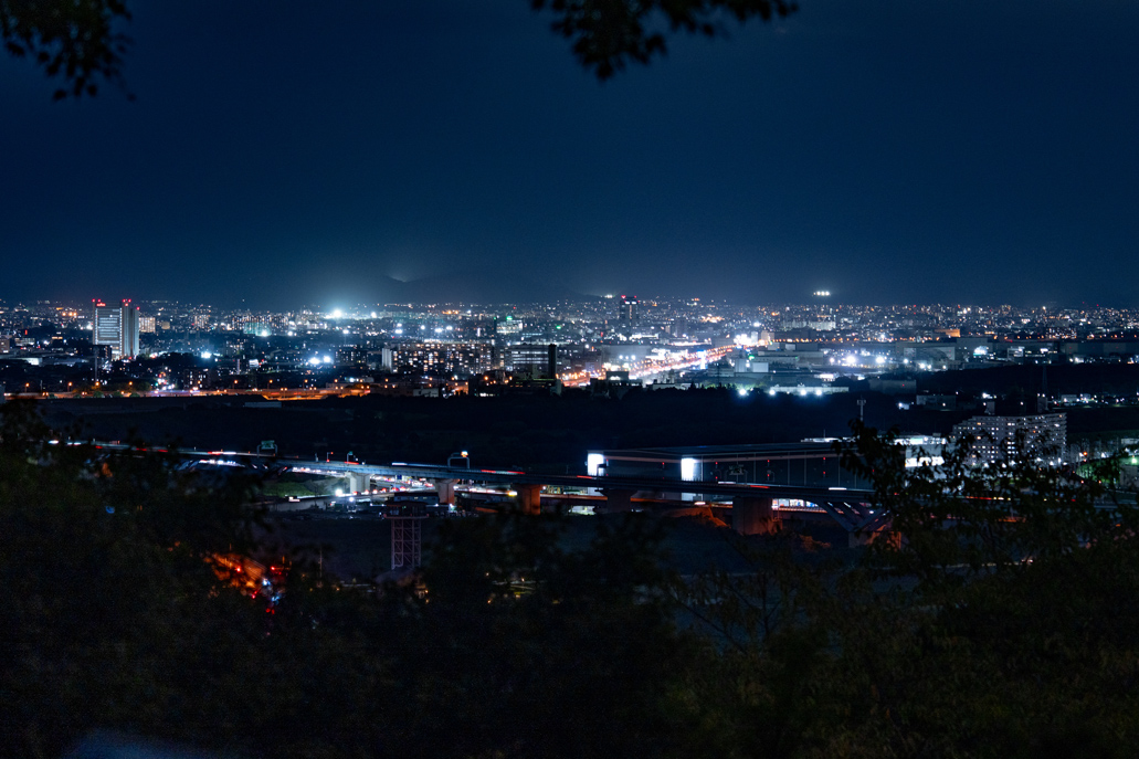 「鎮守の杜ナイトウォークinやわた」の夜景（大阪方面）の画像