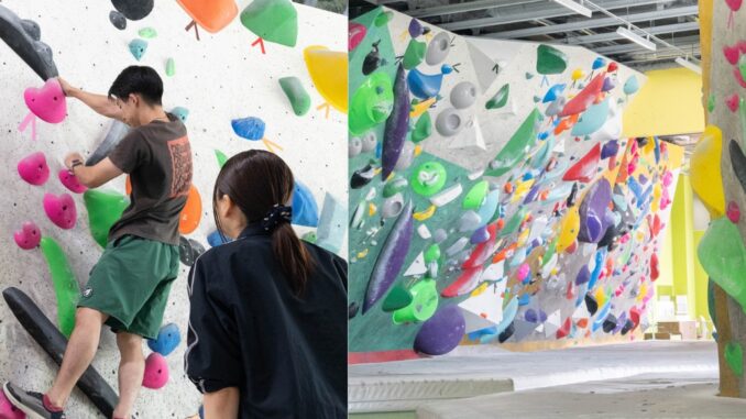 ２０２５年３月にオープンした「ディーボルダリングプラス 松井山手」　の画像