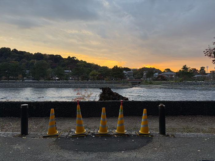 観流橋の近くの倒木画像３