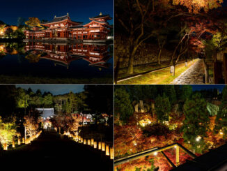 週刊ALCO　令和７年11月22日号の画像