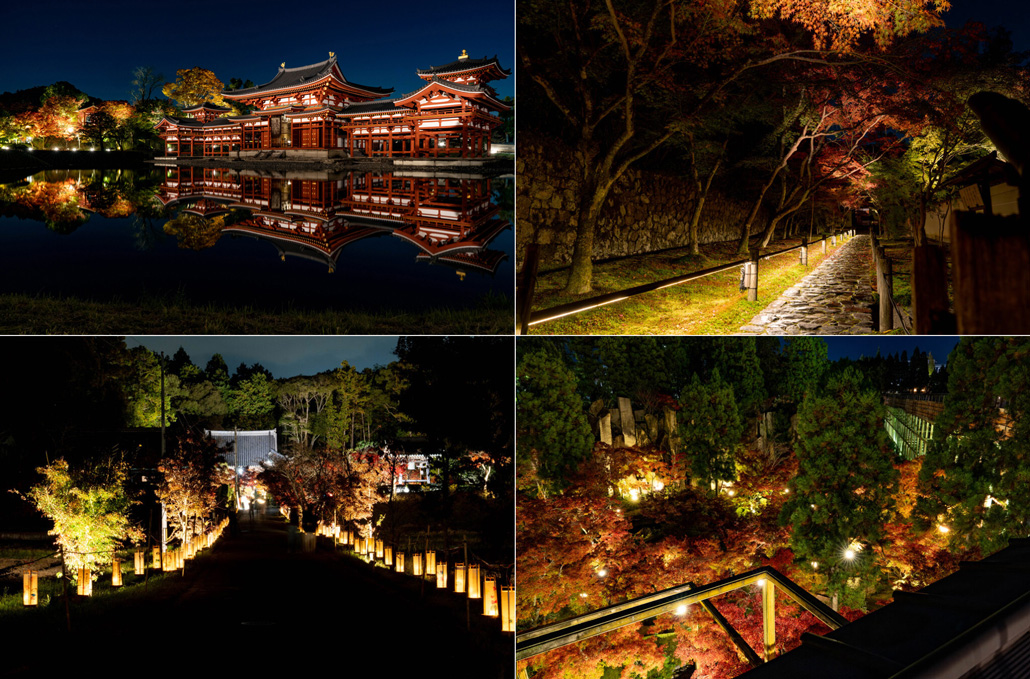 週刊ALCO　令和７年11月22日号の画像