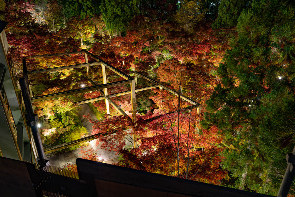 けいはんな記念公園　紅葉ライトアップ２０２５の画像３