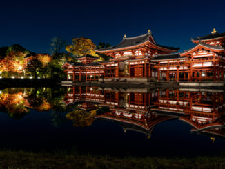 平等院　ライトアップ２０２５年の画像１